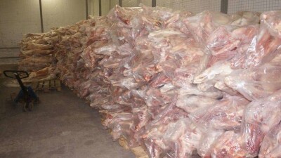 1200 баранов забили для первой экспортной поставки мяса в Китай из Карагандинской области