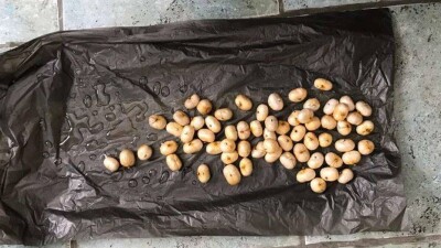 В аэропорту Актау задержали наркокурьеров, которые перевозили в желудках 5000 доз героина