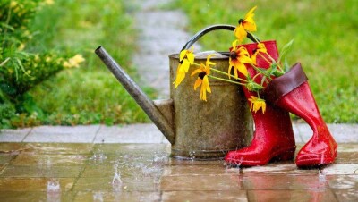 Прогноз погоды на май: в первой декаде возможны заморозки, во второй и третьей – дожди и град