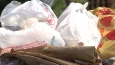 В Павлодаре неделю не вывозят мусор, отдел ЖКХ объяснил ситуацию заминкой