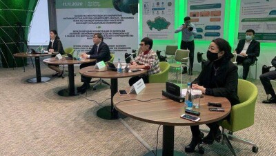 "Начнём переходить с угля на газ – закроем энергокомпании". Чем грозит переход на зелёные технологии