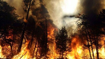 Касымов: Регионы не готовы к пожароопасному периоду