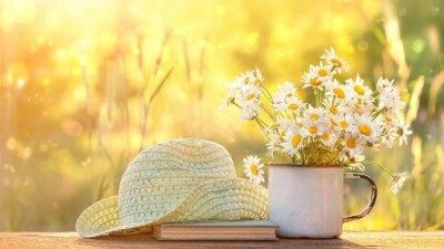 Прогноз погоды на 25 августа: тепло будет на всей территории Казахстана