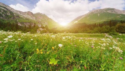 Прогноз погоды на 8 июня: почти на всей территории Казахстана будет без осадков