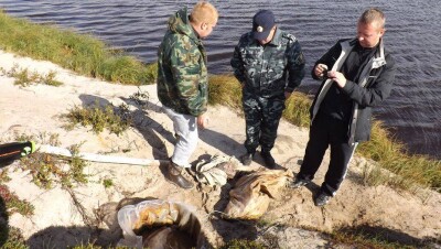 Десятерых браконьеров разыскивают полицейские Павлодарской области