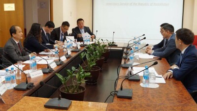 Китайцы прибыли в Казахстан проинспектировать качество баранины