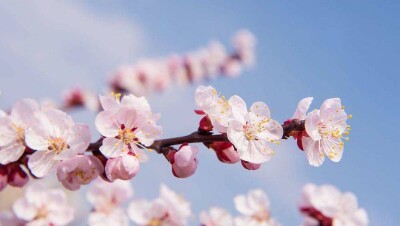 Прогноз погоды на 20 апреля: почти на всей территории Казахстана будет без осадков