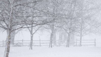 Прогноз погоды на 21 декабря: почти на всей территории Казахстана пройдёт снег