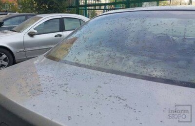 Экологи не знают, что за пепел накрыл микрорайон Астаны