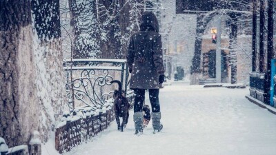 Informburo.kz объявляет новогодний фотоконкурс