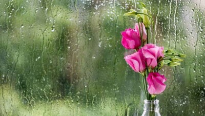 Прогноз погоды на 11 мая: На юго-западе и западе Казахстана пройдут сильные дожди