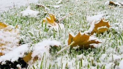 Дожди со снегом ожидаются на большей части Казахстана 29 октября