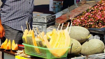 Дынный след. Что нужно знать истинному любителю бахчевых