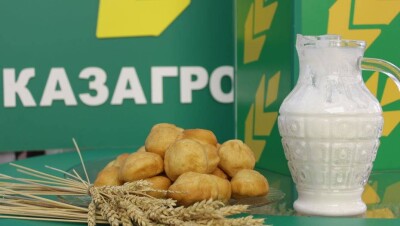 КазАгро назвал причину неосвоения бюджетных средств в 2016 году