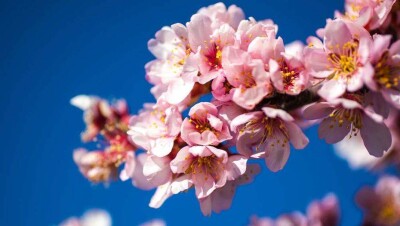 Прогноз погоды на 6 апреля: на большей части территории Казахстана ожидаются осадки