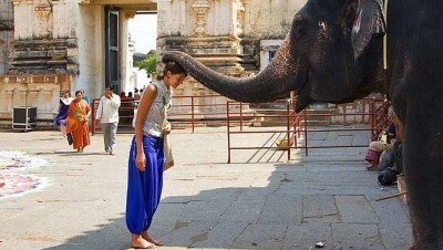 Туристов, собирающихся в Индию, предупредили о вспышке смертельно опасной инфекции