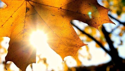 Прогноз погоды на 26 октября: на западе ожидаются дожди, на юге – жара