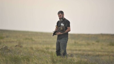 Тодд Кацнер, американский орнитолог: Степной орёл в Казахстане находится на грани исчезновения