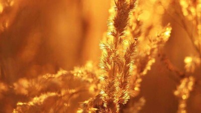 Прогноз погоды на 26 июля: сильная жара ожидается в семи регионах Казахстана