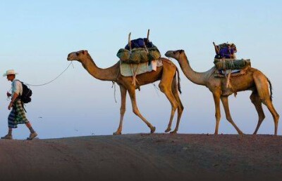 Журналист National Geographic пойдёт пешком по Казахстану