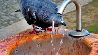 Жаркая погода сохранится в большинстве областей Казахстана в пятницу, 25 августа