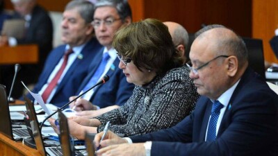 Депутаты Мажилиса: Законопроект о мирных собраниях даёт людям больше возможностей высказывать свою позицию