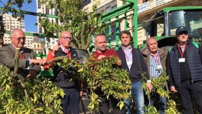 В Испании прошёл митинг фермеров. Они тракторами заблокировали улицы