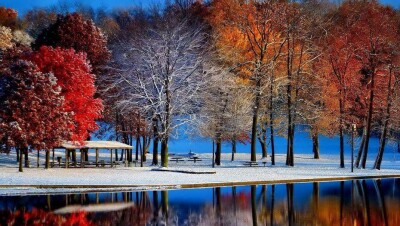 О погоде на 11 ноября рассказали синоптики