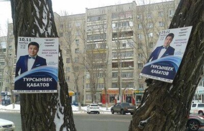 Штраф за прибитые к деревьям афиши заплатят организаторы концертов Турсынбека Кабатова