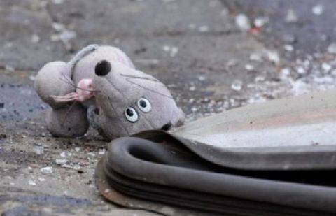 Фото с сайта newstes.ru