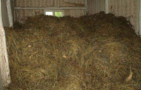 Фото с сайта stihi.ru