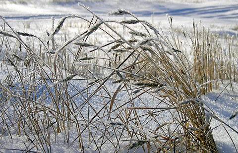 Фото с сайта photosight.ru