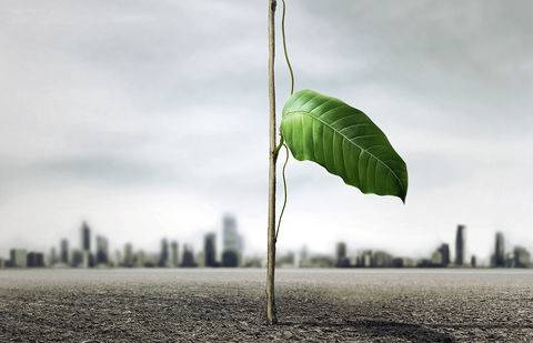 Фото предоставлено агентством Cheil Kazakhstan