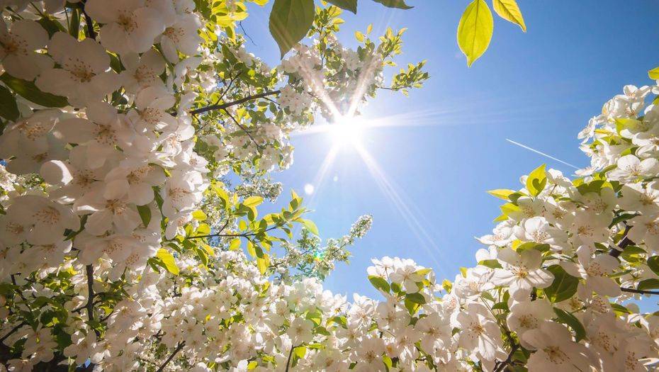 Прогноз погоды на 9 мая: жара ожидается на всей территории Казахстана