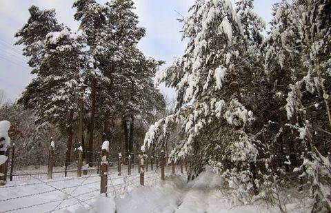 Фото с сайта karpinskiy.in.ua