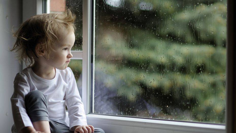 Фото с сайта vetton.ru 