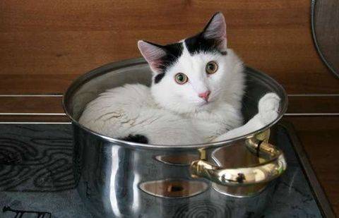 Фото с сайта rudnet.kz