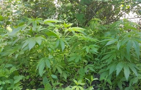 Фото informburo.kz