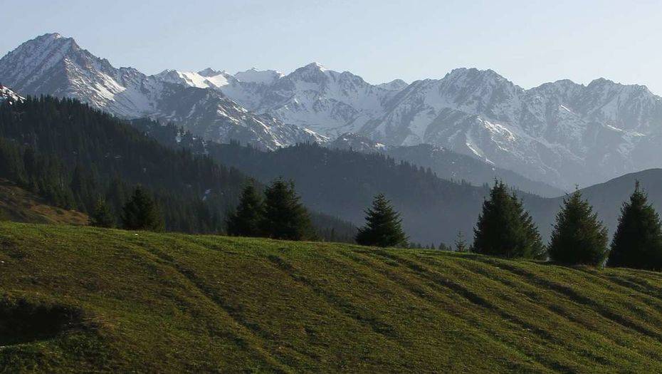 Фото Андрея Старкова