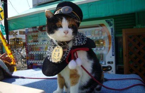 Фото: tumblr.com