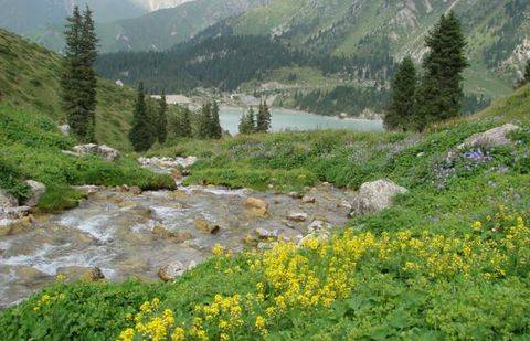 Фото с сайта greensalvation.org