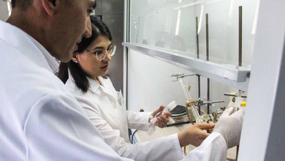 Фото Алмаза Толеке