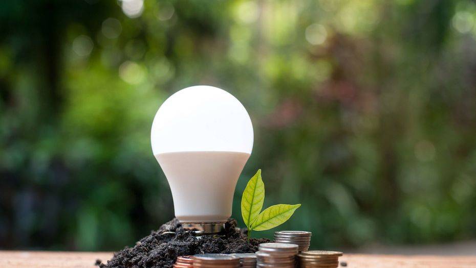 Фото с сайта shutterstock.com