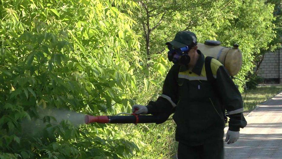 В Павлодаре рассказали, как в 2018-м потратят 595 млн тенге на борьбу с гнусом