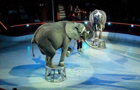 Фото с сайта ourtravelpics.com