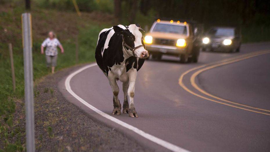 Фото с сайта fototelegraf.ru