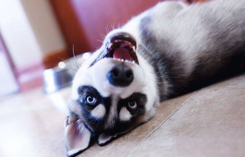 Фото с сайта getbg.net