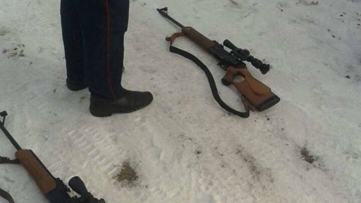В Павлодарской области старший инспектор вместо охраны лосей занимался их отстрелом