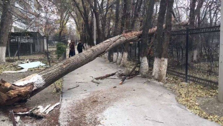 Ураганом снесло крыши зданий в Жамбылской области