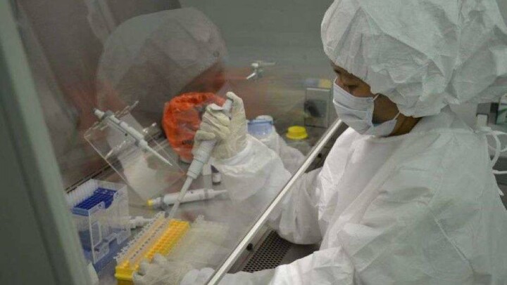 Казахстанские учёные круглосуточно разрабатывают вакцину от Covid-19
